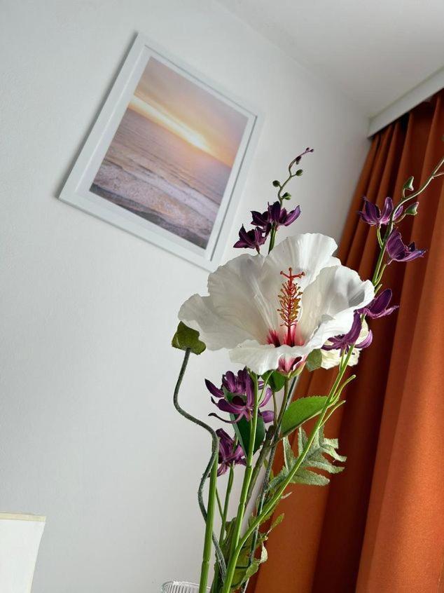 Apartment Harmony Graz Esterno foto